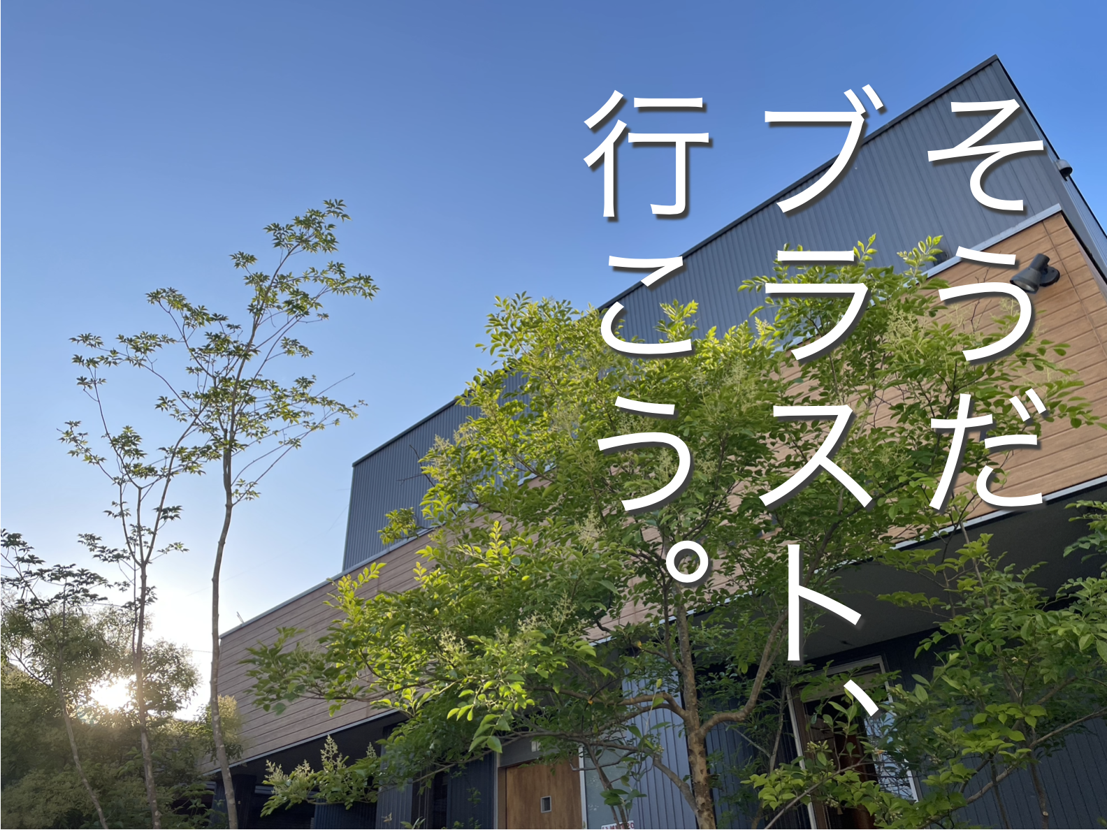 img20250905180812174815.png